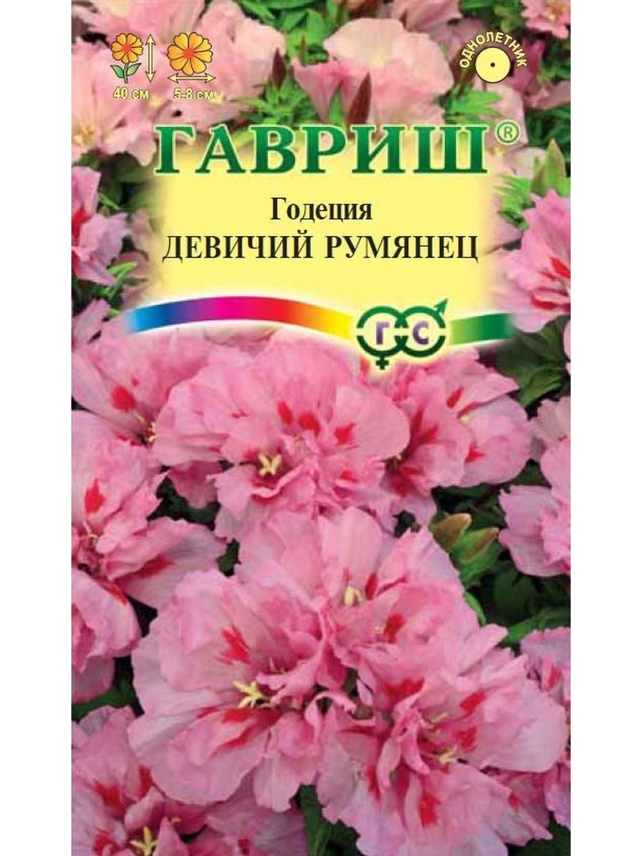 картинка Годеция Девичий румянец, махровая 0,05 г Г семена от магазина Евродом