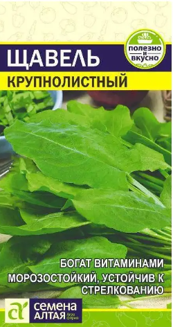 картинка Щавель Крупнолистный 0,5 г Алт семена от магазина Евродом