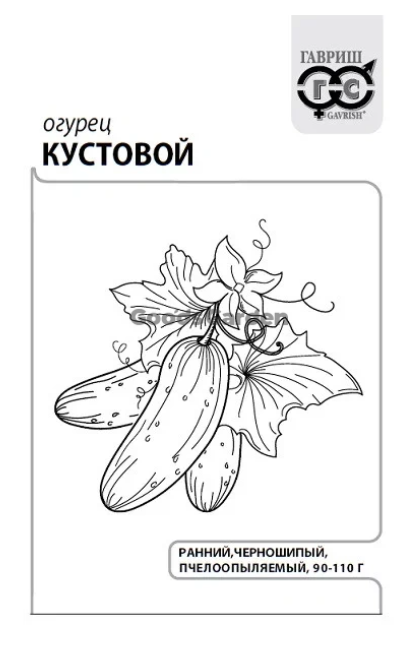 картинка Огурец Кустовой 0,5г б/п Г семена от магазина Евродом