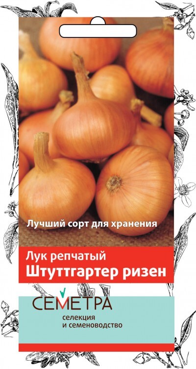 картинка Лук репчатый Штуттгартер ризен (Семетра) 1г П семена от магазина Евродом