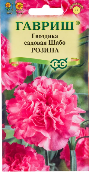 картинка Гвоздика Шабо Розина 0,05 г Г семена от магазина Евродом