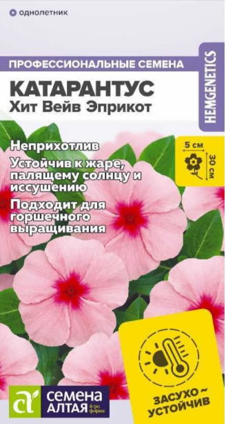 картинка Катарантус Хит Вейв Эприкот 5шт Алт семена от магазина Евродом