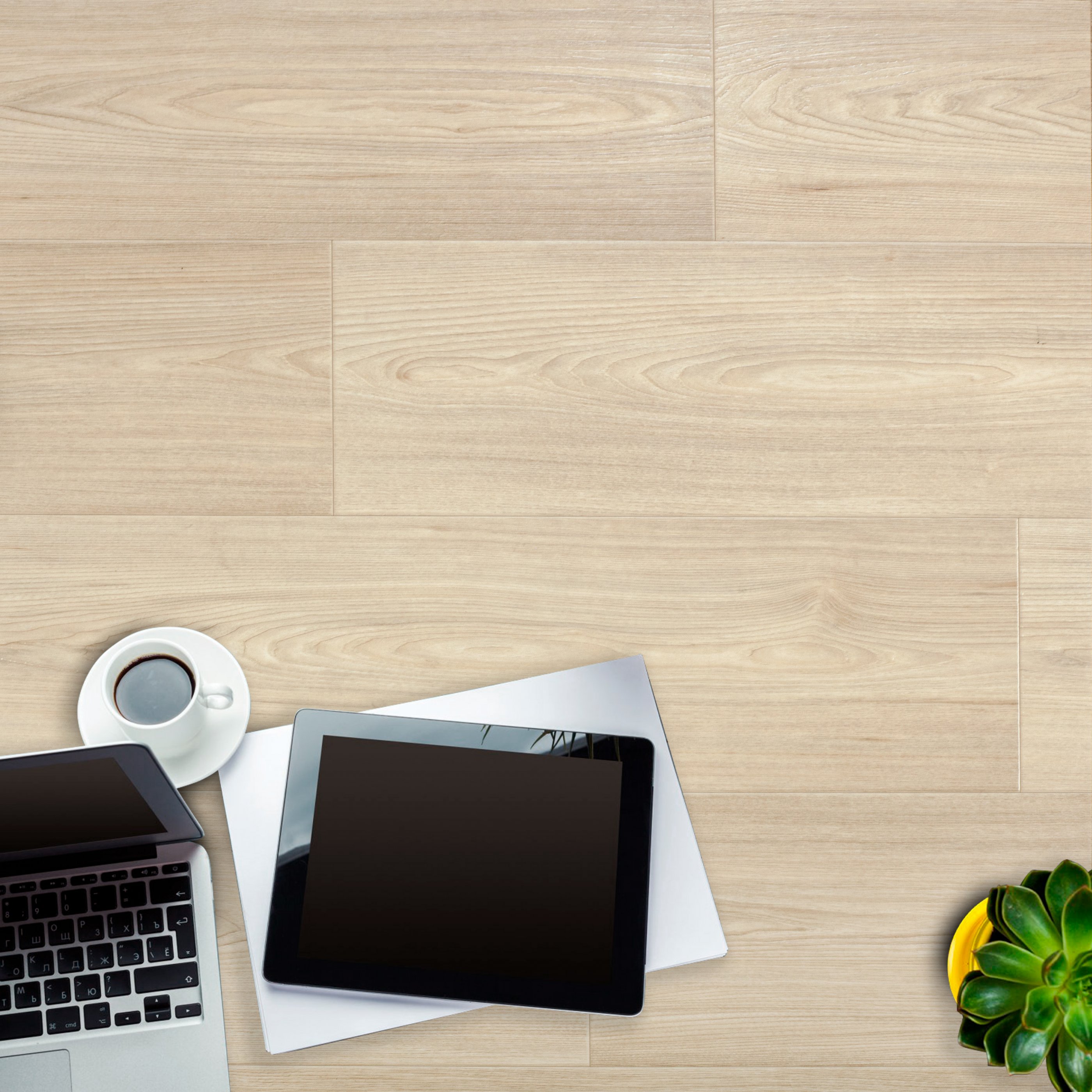 картинка Линолеум Гладиатор Адила 2 (2,5м) от магазина Евродом