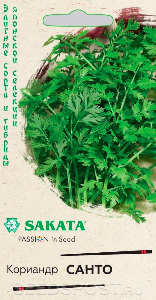 картинка Кориандр Санто 2,0 г (Саката) Г семена от магазина Евродом