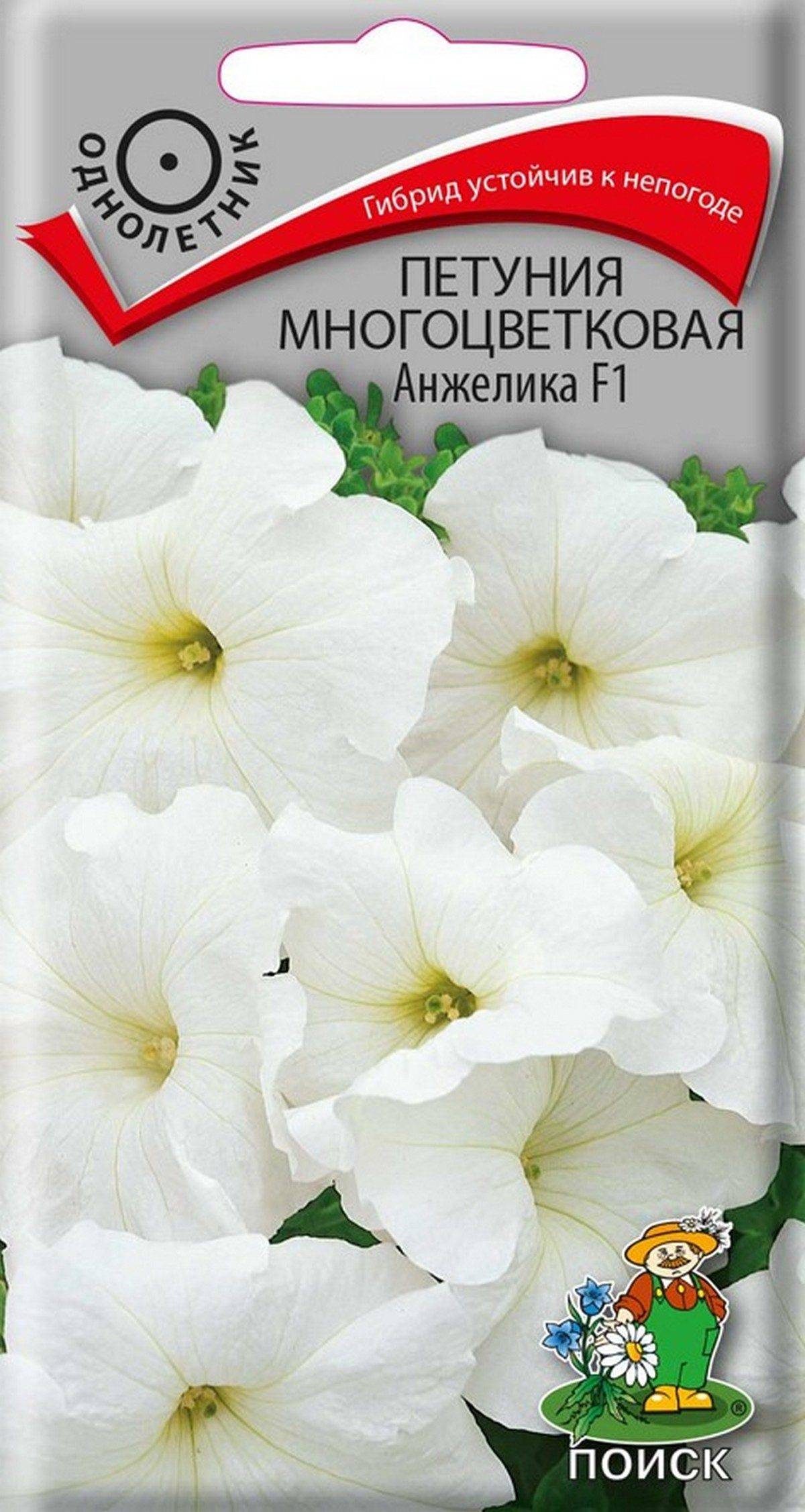 картинка Петуния Анжелика F1 многоцв. 20шт П семена от магазина Евродом