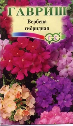 картинка Вербена Романс гибридная смесь 0,05 г Г семена от магазина Евродом