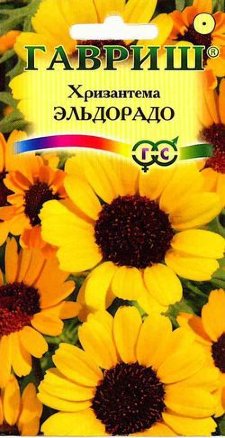 картинка Хризантема Эльдорадо 0,5 г Г семена от магазина Евродом