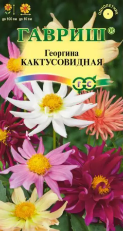 картинка Георгина Кактусовидная смесь 0,2 г Г семена от магазина Евродом