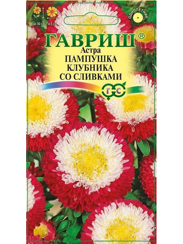 картинка Астра Пампушка клубника со сливками 0,3 г Г семена от магазина Евродом