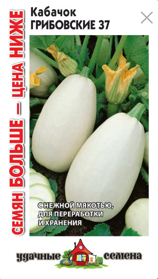 картинка Кабачок Грибовский 37 3г Уд.с Г семена от магазина Евродом