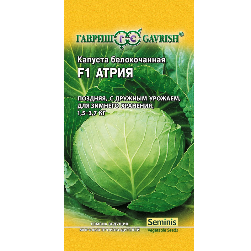 картинка Капуста Атрия F1 10 шт для квашения  (Голландия) Г семена от магазина Евродом