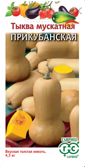картинка Тыква мускатная Прикубанская 1 г Г семена от магазина Евродом