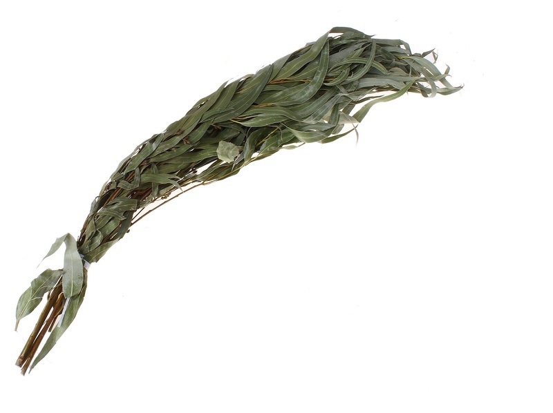 картинка Веник эвкалиптовый в упаковке от магазина Евродом