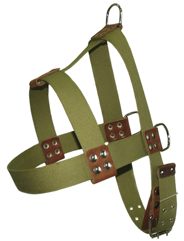 картинка Шлейка средняя брезентовая 45 от магазина Евродом