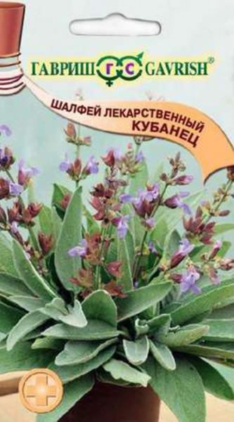 картинка Шалфей лекарственный Кубанец 0,3 г Г семена от магазина Евродом