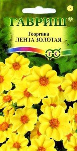 картинка Георгина Лента золотая 0,2 г Г семена от магазина Евродом