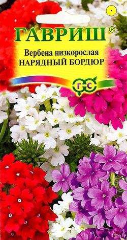 картинка Вербена Нарядный бордюр 0,05 г Г семена от магазина Евродом