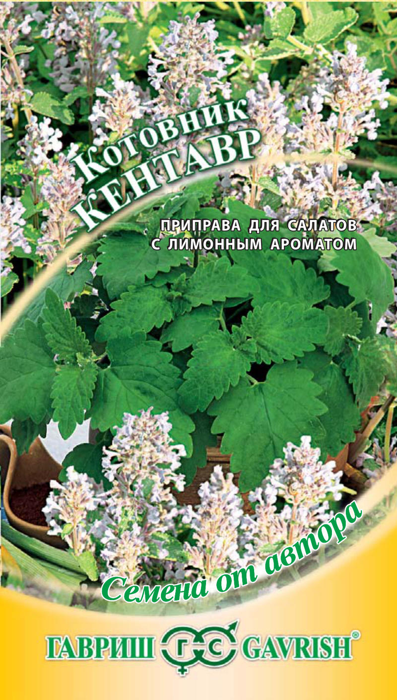 картинка Котовник Кентавр 0,2 г автор. Г от магазина Евродом