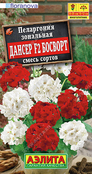 картинка Пеларгония Дансер Босворт 5 шт АЭ семена от магазина Евродом