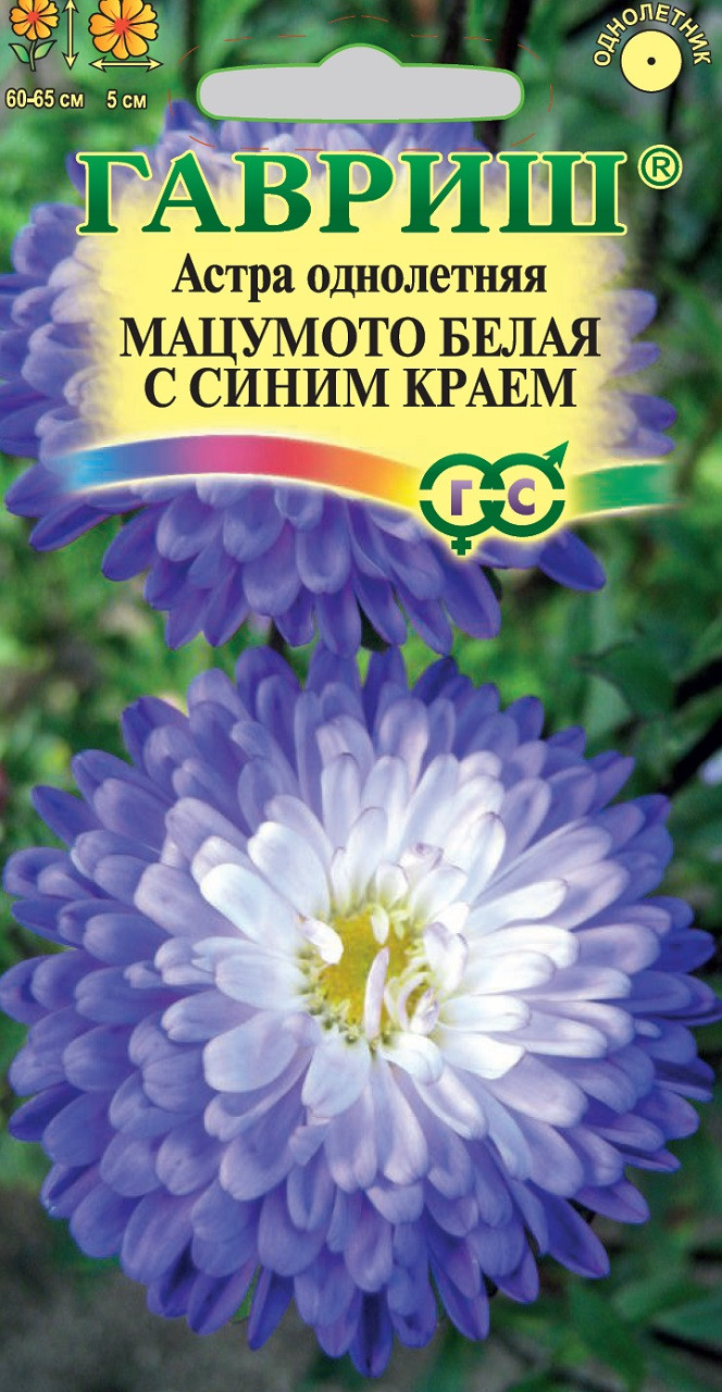 картинка Астра Мацумото бел/син 0,3г (Ц) Г семена  от магазина Евродом