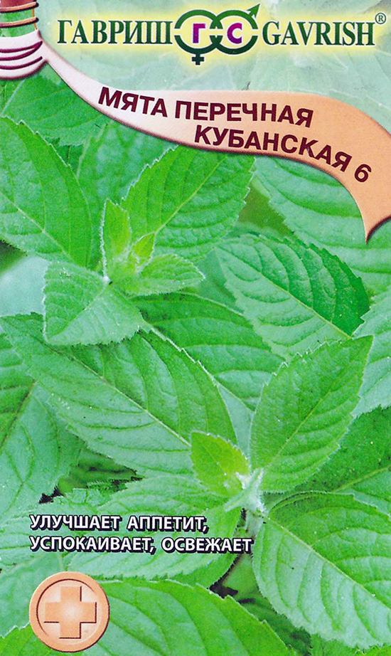 картинка Мята кубанская перечная 0,05 г Г семена от магазина Евродом