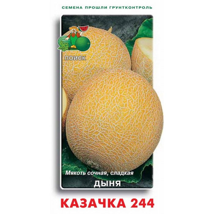 картинка Дыня Казачка 244 15шт П семена от магазина Евродом