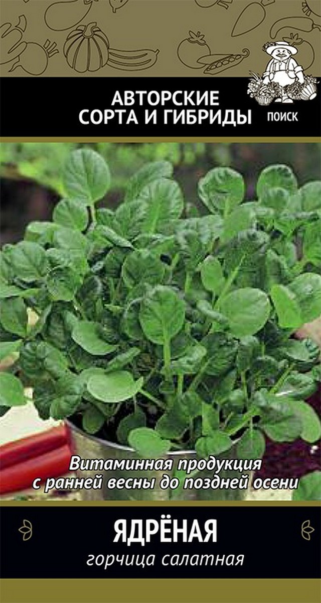 картинка Горчица сарептская (салатная) Ядрёная(А) (ЦВ) 1 г семена от магазина Евродом