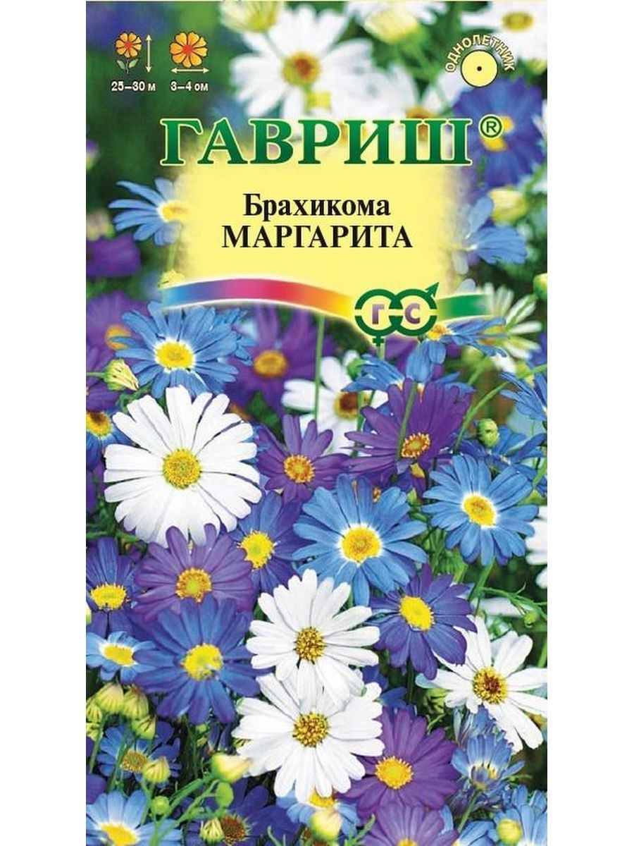картинка Брахикома Маргарита иберолистная 0,02 г Г семена от магазина Евродом