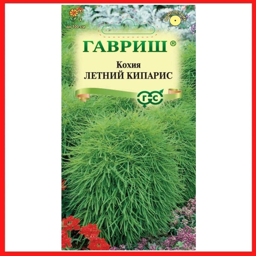картинка Кохия Летний кипарис (веничная) 0,3 г Г семена от магазина Евродом