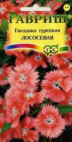 картинка Гвоздика Турецкая Лососевая 0,1 г Г семена от магазина Евродом