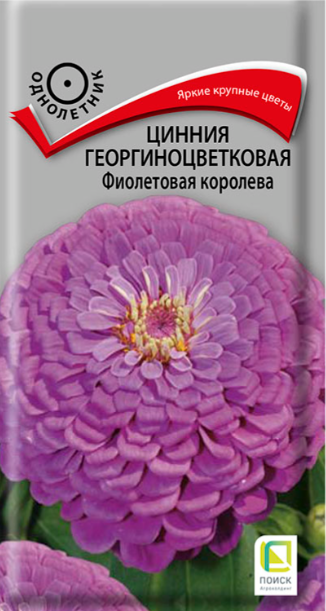картинка Цинния Фиолетовая королева 0,4 г П семена от магазина Евродом