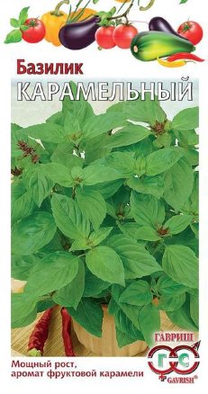 картинка Базилик Карамельный 0,3 г Г семена от магазина Евродом