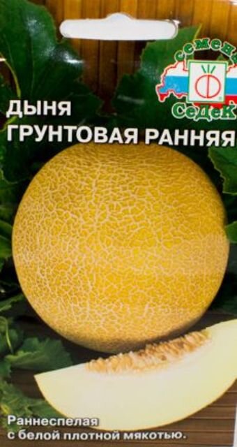 картинка Дыня Грунтовая ранняя 0,5 г СД семена от магазина Евродом