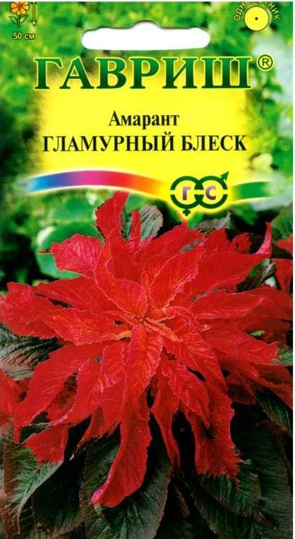 картинка Амарант Гламурный блеск* 0,1 г Г семена от магазина Евродом