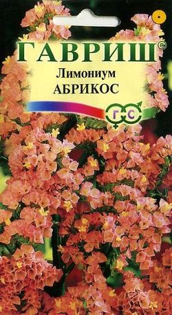 картинка Лимониум Абрикос* 0,01 г  Г семена от магазина Евродом