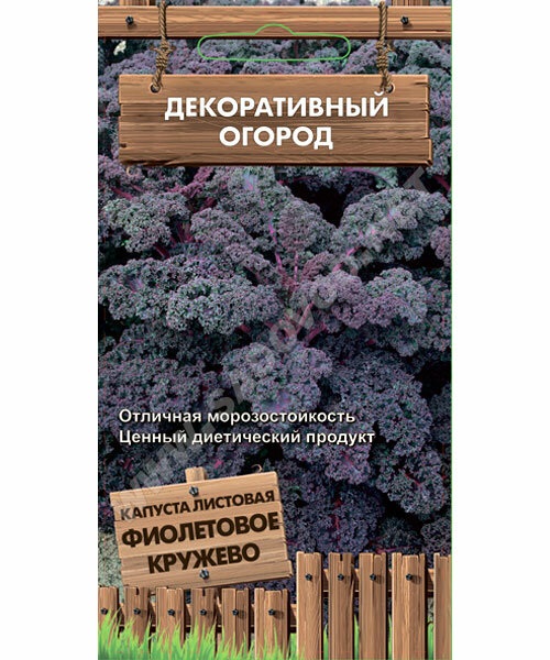 картинка Капуста Фиолетовое кружево 0,1г П от магазина Евродом