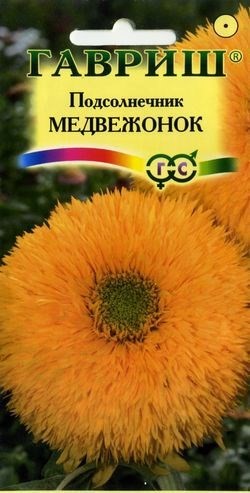 картинка Подсолнечник декоративный Медвежонок  0,5 г Г семена от магазина Евродом