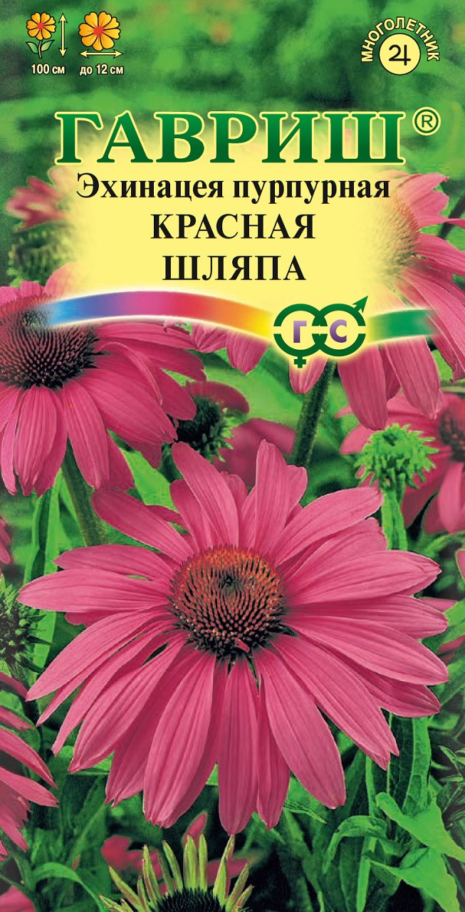 картинка Эхинацея Красная шляпа 0,1 г Г семена от магазина Евродом
