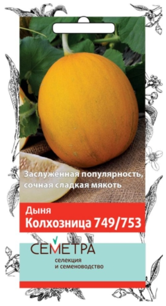 картинка Дыня Колхозница 749/753 (Семетра) 1г П семена от магазина Евродом